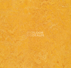 Линолеум Forbo Marmoleum Marbled Authentic 3225 dandelion фото 1 | FLOORDEALER
